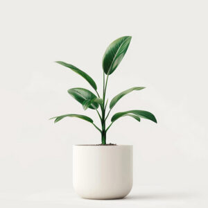product 04